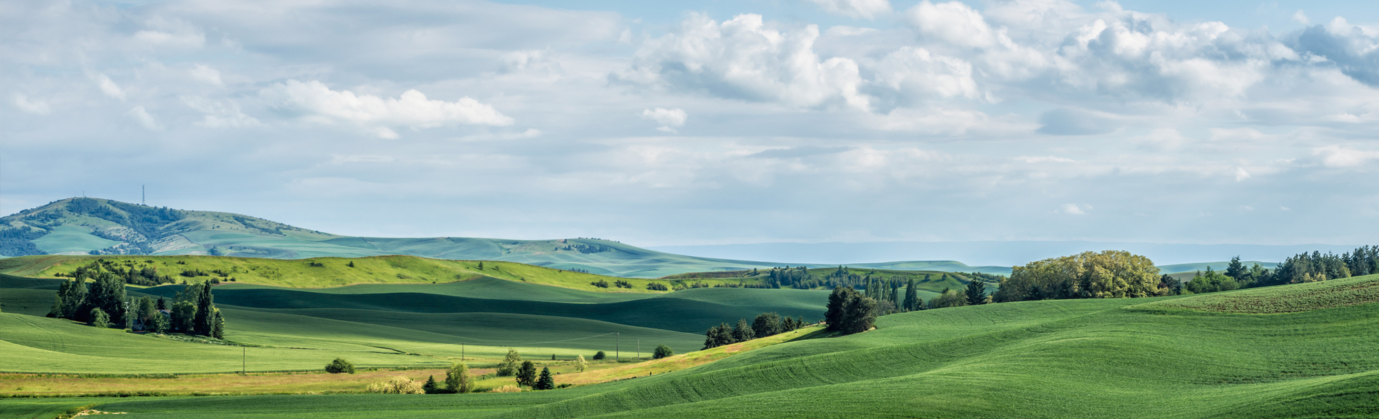 Western Community homepage banner of agricultural scene